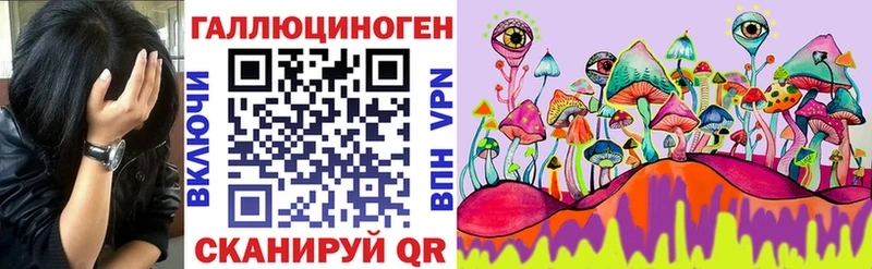 Псилоцибиновые грибы Cubensis  Усть-Лабинск 